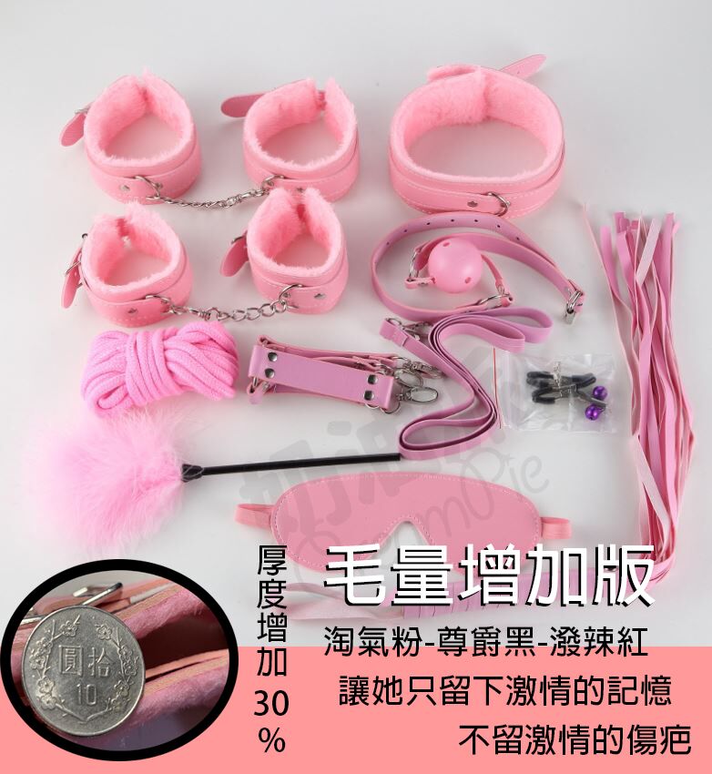 「服從是你的榮耀」|主人專屬的基礎SM調教情趣套組 1 調教用SM套裝|乳夾、口塞、羽毛棒打造性感氛圍的高質感配件